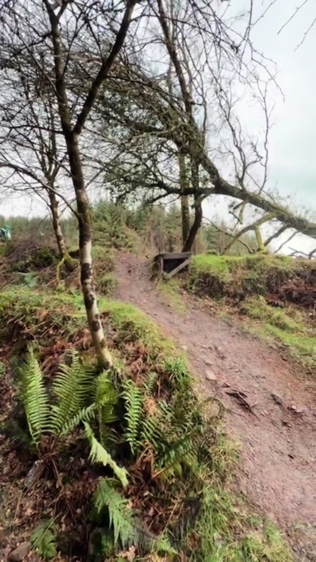 Mountain biking the Comeragh Mountains near Clonmel