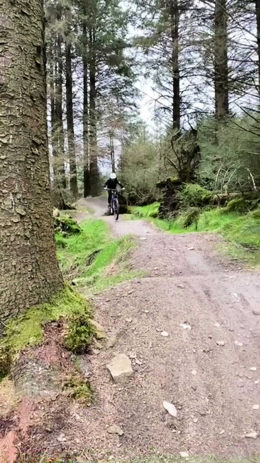 David's mountain bike on trail