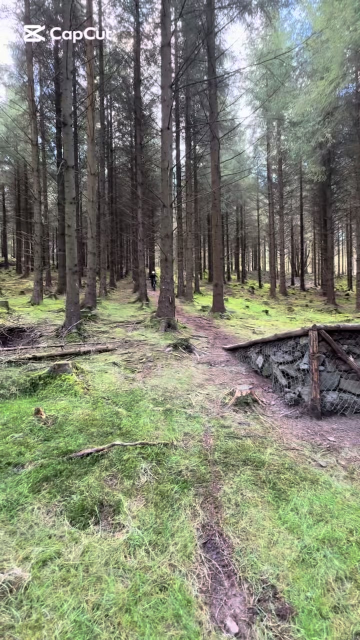 Bike Park Ireland, Rostrevor, Co. Down