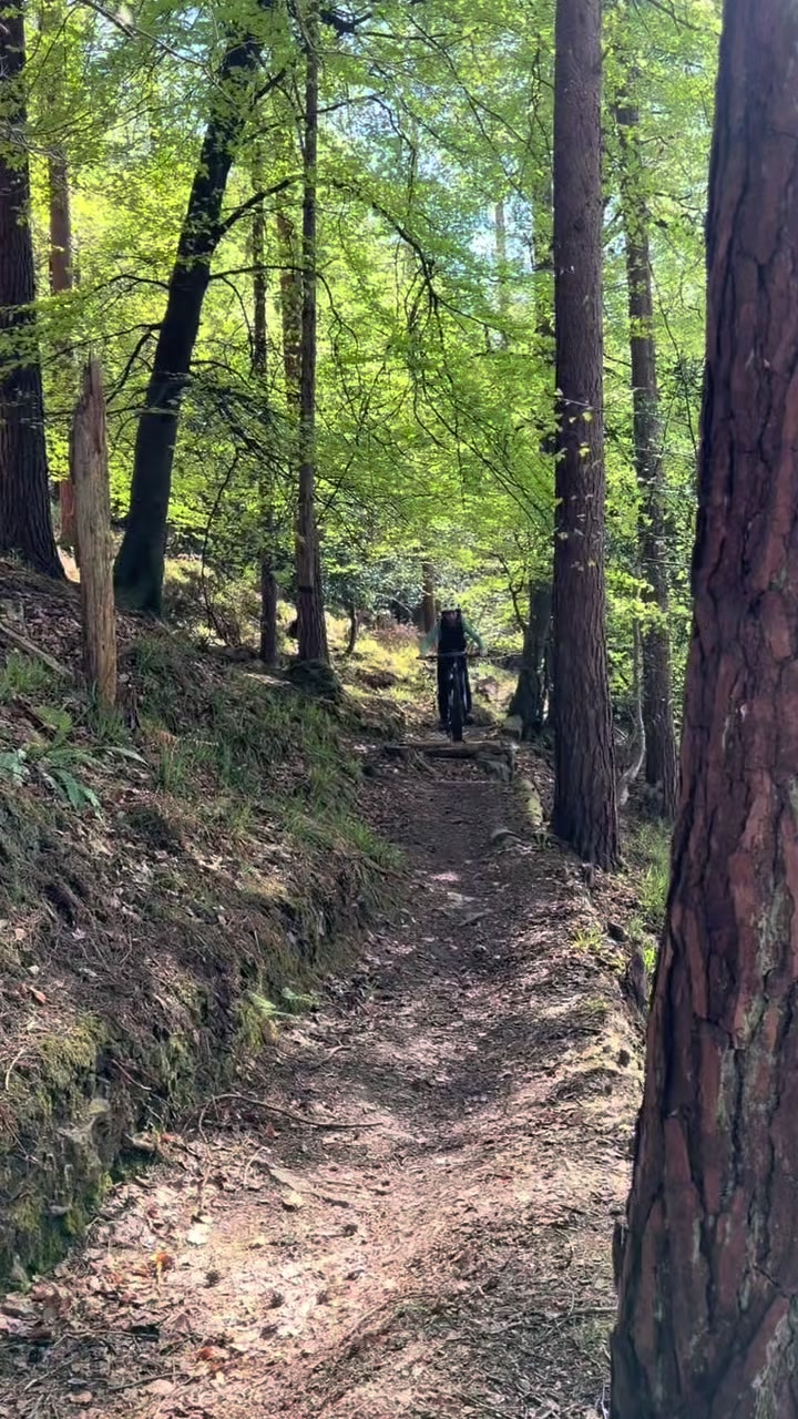 Trail riding at The Gap Bike Park, Wicklow